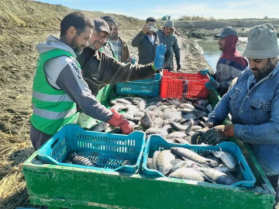 بإنتاجية تبلغ ١٥ طن اسماك طازجة.. بشائر صيد الحوض الثاني من المزرعة السمكية بالفرافرة 19 - جريدة المساء