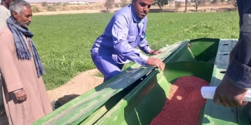 مزارعو الجنوب يبدأون مكافحة الحشائش لرفع وتحسين الإنتاج لمحصول القمح إلى 30 أردب 2 - جريدة المساء مزارعو الجنوب يبدأون مكافحة الحشائش لرفع وتحسين الإنتاج لمحصول القمح إلى 30 أردب 1 - جريدة المساء