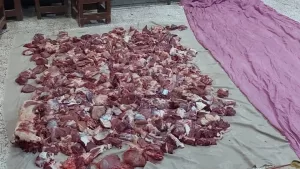 "الشعب الجمهوري" يوزع لحوم وسلع غذائية على الأهالي في قوص 46 - جريدة المساء "الشعب الجمهوري" يوزع لحوم وسلع غذائية على الأهالي في قوص 45 - جريدة المساء