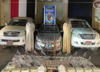 ضبط تشكيل عصابي للإتجار بالأسلحة والمخدرات في قنا بقيمة 40 مليون جنيه 31 - جريدة المساء