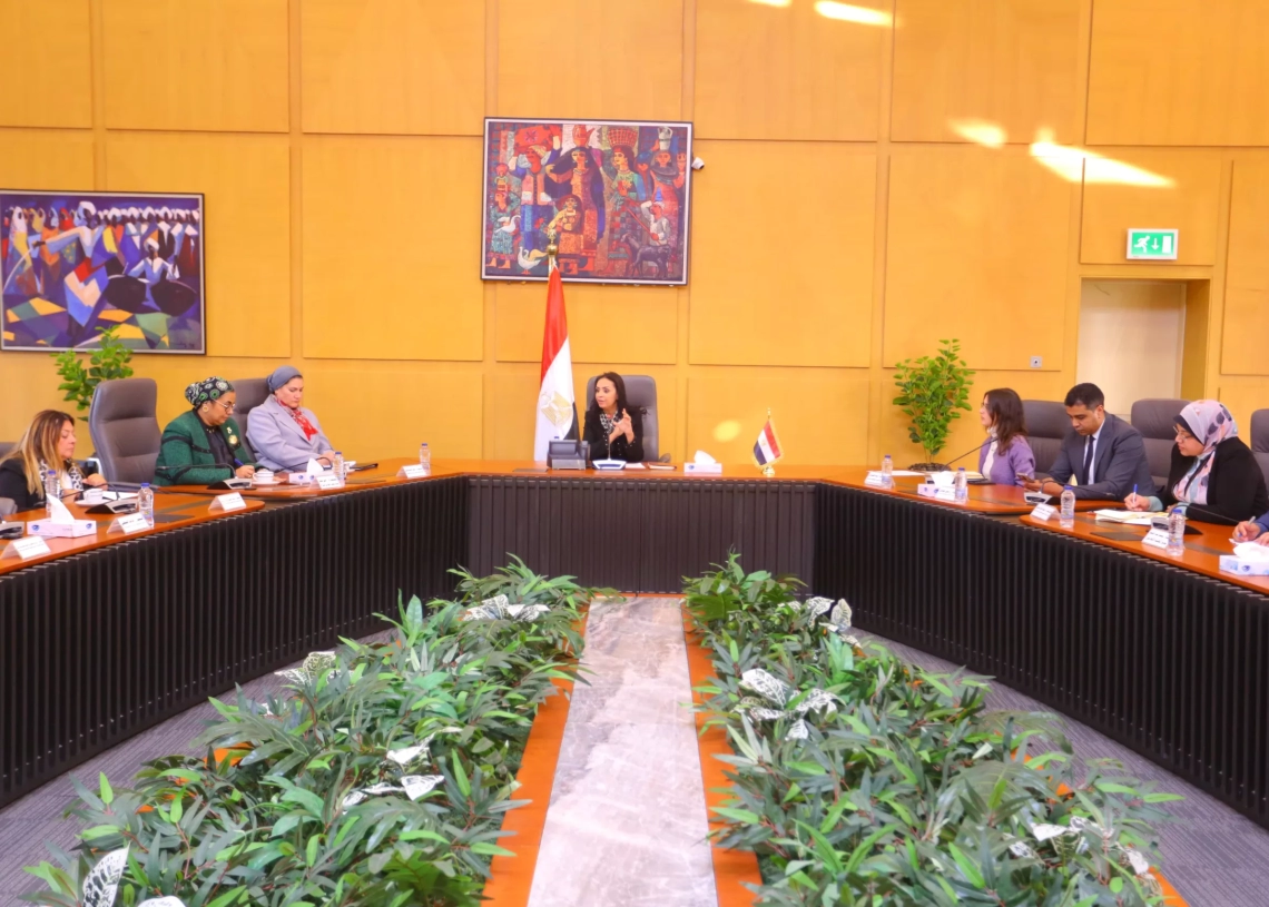 وزيرة التضامن تبحث تعزيز التعاون مع المجالس القومية لدعم الفئات المستحقة 19 - جريدة المساء