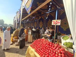 بالصور- محافظة الجيزة تقيم ١٨ سوقا للسلع الغذائية لتغطية أحياء المحافظة 31 - جريدة المساء