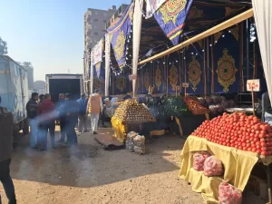 بالصور- محافظة الجيزة تقيم ١٨ سوقا للسلع الغذائية لتغطية أحياء المحافظة 35 - جريدة المساء