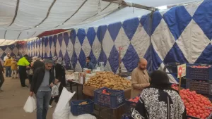 بالصور- محافظة الجيزة تقيم ١٨ سوقا للسلع الغذائية لتغطية أحياء المحافظة 59 - جريدة المساء