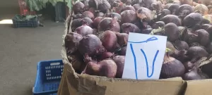 منفذ جديد لبيع الخضراوات والفواكه بأسعار مخفضة داخل سوق الجملة ب٦ أكتوبر 34 - جريدة المساء منفذ جديد لبيع الخضراوات والفواكه بأسعار مخفضة داخل سوق الجملة ب٦ أكتوبر 33 - جريدة المساء