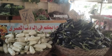 منفذ جديد لبيع الخضراوات والفواكه بأسعار مخفضة داخل سوق الجملة ب٦ أكتوبر 2 - جريدة المساء منفذ جديد لبيع الخضراوات والفواكه بأسعار مخفضة داخل سوق الجملة ب٦ أكتوبر 1 - جريدة المساء