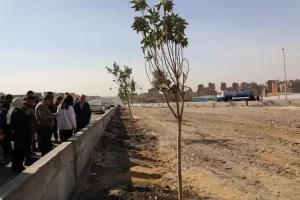أحد محاور المتحف الكبير || محافظ الجيزة يتفقد المرحلة الأولى لأعمال التشجير بالطريق الدائري بالطالبية والعمرانية والهرم ضمن مبادرة ١٠٠ مليون شجرة 33 - جريدة المساء