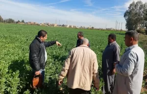جامعة القناة تنظم قافلة طبية شاملة بقرية السلام بالقصاصين 23 - جريدة المساء