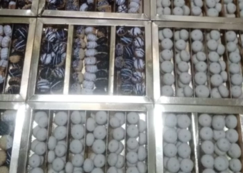 بسكويت بالبرتقال وغريبة وبيتى فور احنفالا بعيد الميلاد 19 - جريدة المساء