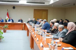 وزير المالية: سأتابع لحظيًا.. خطوات تنفيذ «التسهيلات الضريبية» 42 - جريدة المساء