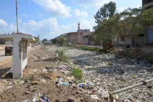 محافظ الدقهلية يقطع زيارته لشربين لعدم رضاه عن مستوى 26 - جريدة المساء