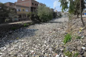 محافظ الدقهلية يقطع زيارته لشربين لعدم رضاه عن مستوى 28 - جريدة المساء