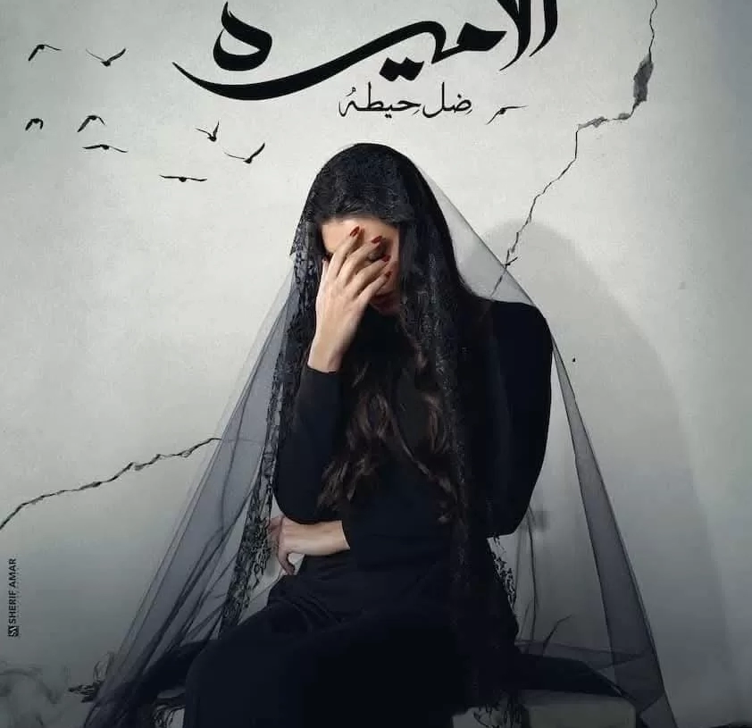 "سيدة الحب الأولى" لمسلسل الأميرة ظل حيطه تحقق مليون ونص خلال 15 ساعة 18 - جريدة المساء