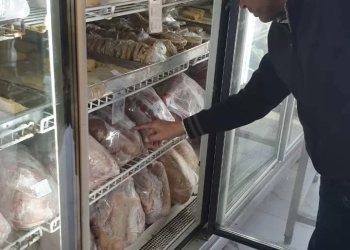 ضبط 10 أطنان لحوم وأسماك فاسدة بالجيزة 16 - جريدة المساء