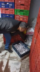 ضبط 10 أطنان لحوم وأسماك فاسدة بالجيزة 21 - جريدة المساء