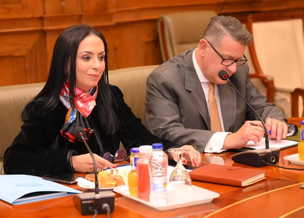 وزيرة التضامن أمام لجنة حقوق الإنسان بمجلس النواب: صرف أكثر من ٣ مليارات جنيه لمستفيدي تكافل وكرامة.. شهرياً 19 - جريدة المساء