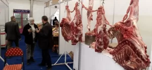 تعرف علي مواقعها | محافظة الجيزة: ٢٨ معرضاً ل "أهلا رمضان" لتغطية كافة الأحياء والقري 39 - جريدة المساء