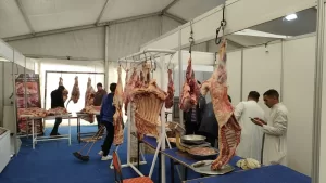 تعرف علي مواقعها | محافظة الجيزة: ٢٨ معرضاً ل "أهلا رمضان" لتغطية كافة الأحياء والقري 57 - جريدة المساء