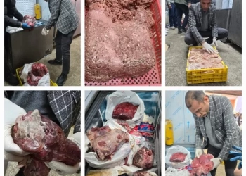 ضبط 118 كيلو لحوم فاسدة بمطعم شهير في سوهاج 33 - جريدة المساء
