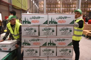 تجهيز 10 آلاف كرتونة رمضان استعدادًا لتوزيعها قبل حلول الشهر المعظم في المنيا 20 - جريدة المساء