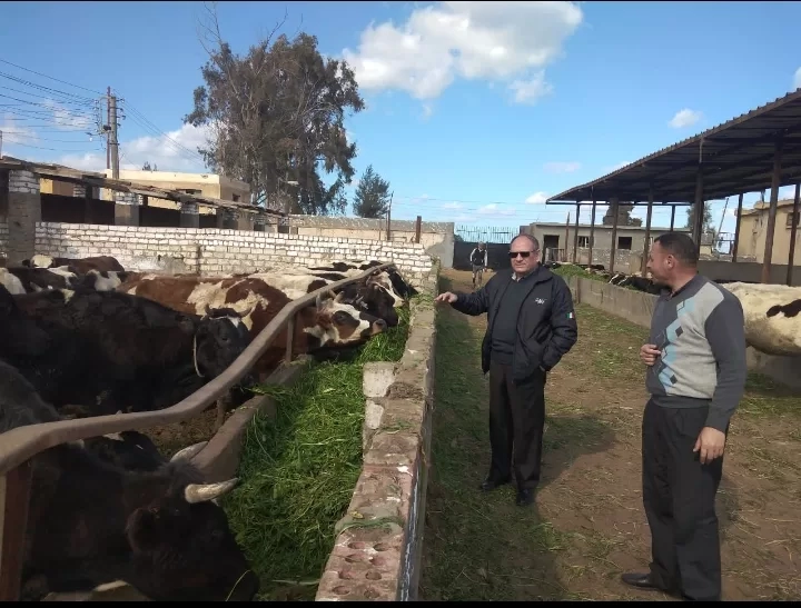 رئيس البحوث الزراعية يزور محطة بحوث سخا لمتابعة البرامج البحثية المختلفة 19 - جريدة المساء