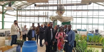 وفد من عدة دول افريقية يزور المركزي للنخيل لبحث سبل التعاون بين الجانبين 1 - جريدة المساء