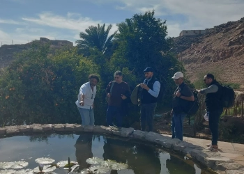 زيارة ميدانية لأسوان لتنشيط منتج السياحة البيئية 17 - جريدة المساء
