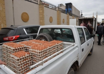 بيع اللحوم البلدية والبيض بأسعار مخفضة بالدقهلية 26 - جريدة المساء