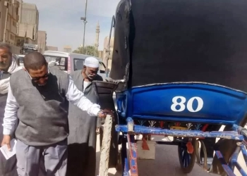 بناء على توجيهات محافظ أسوان .. تكثيف أعمال النظافة العامة ورفع المخلفات والإشغالات بالمدن والمراكز 35 - جريدة المساء