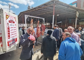 سيارات لبيع اللحوم الطازجة بسعر 260 جنيها بالسنبلاوين 17 - جريدة المساء