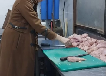 ضبط 2455 كيلو دجاج ولحوم مخالفة للمواصفات وذبح خارج المجزر 23 - جريدة المساء
