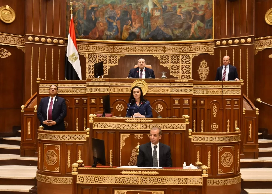 وزيرة التضامن فى مجلس الشيوخ