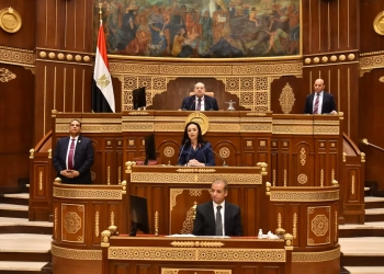 وزيرة التضامن فى مجلس الشيوخ