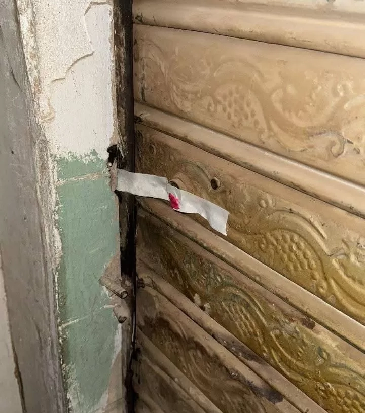 تسبب إزعاجًا للمواطنين وتعيق الحركة.. محافظة الجيزة تشمع مقاهٍي مخالفة بحدائق الأهرام وترفع ١١٠٠ حالة إشغال وتعدٍّ على الطريق العام 19 - جريدة المساء