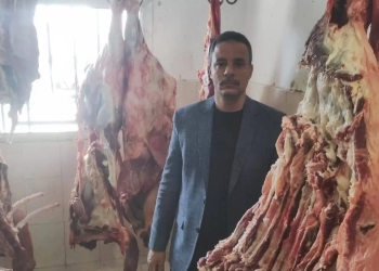 إقبال على منافذ بيع اللحوم بمديرية الزراعة بالبحر الأحمر بأسعار 310 جنيه للكيلو 27 - جريدة المساء