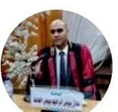 حملات  مكثفة لمواجهة الألعاب النارية والمفرقعات داخل مدن وقرى كفر الشيخ 1 - جريدة المساء