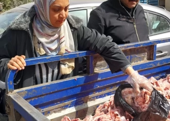 ضبط 13 طن لحوم ودواجن فاسدة بالجيزة 21 - جريدة المساء