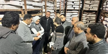 ضبط 10 أطنان من اللحوم المستوردة منتهية الصلاحية بالقليوبية قبل طرحها بالأسواق 1 - جريدة المساء