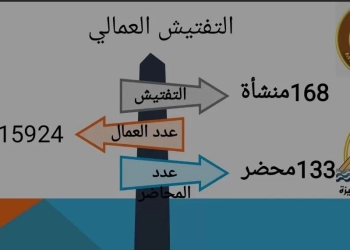 مديرية عمل الجيزة تجري تفتيشا على ١٦٨ منشأة عمالية.. وتحرر ١٣٣ محضرًا لضبط المخالفات 16 - جريدة المساء