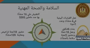 مديرية عمل الجيزة تجري تفتيشا على ١٦٨ منشأة عمالية.. وتحرر ١٣٣ محضرًا لضبط المخالفات 23 - جريدة المساء