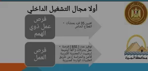 مديرية عمل الجيزة تجري تفتيشا على ١٦٨ منشأة عمالية.. وتحرر ١٣٣ محضرًا لضبط المخالفات 27 - جريدة المساء