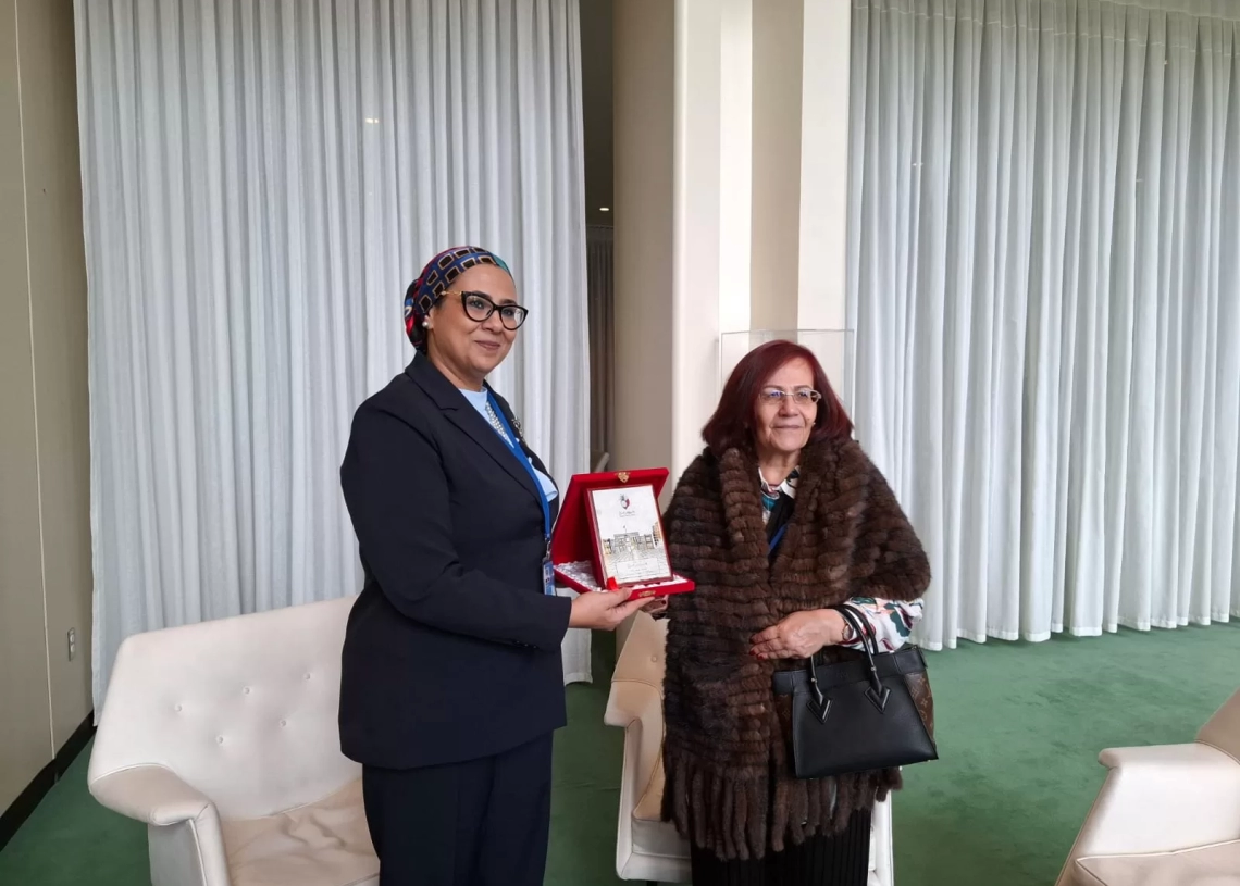 على هامش مشاركتها فى فعاليات الدورة 69 للجنة وضع المرأة بالأمم المتحدة "csw69" المستشارة أمل عمار تلتقى الأمين العام للمجلس الأعلي للمرأة البحرينية 18 - جريدة المساء