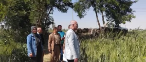 مدير زراعة المنيا يتفقد الحقول الإرشادية لمحصول القمح 9 - جريدة المساء