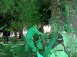 "العرابي" يقود حملة لإزالة الأكشاك المخالفة حول مسجد القائد إبراهيم بالإسكندرية 21 - جريدة المساء