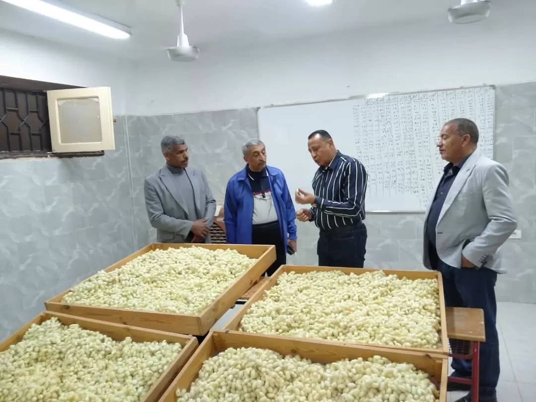 وكيل تعليم الوادى الجديد يشيد بمعدلات انتاج الحرير بمدرسة بلاط الزراعية 19 - جريدة المساء