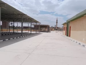 جولة ميدانية موسعة لنائب محافظ الجيزة بمركز الصف (صور) 41 - جريدة المساء