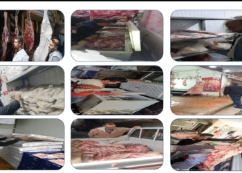 محافظة الجيزة: وقف إجازات الأطباء البيطريين وتكثيف الحملات علي أماكن تخزين وتداول الأسماك المملحة خلال العيد 17 - جريدة المساء