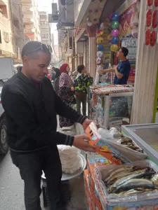 "أوسيم" في المقدمة.. ضبط ٦ أطنان رنجة وفسيخ فاسدة في 6 مناطق بالجيزة 35 - جريدة المساء