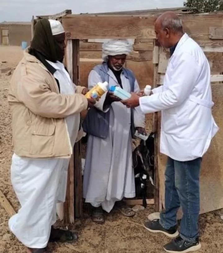 بحوث الصحراء : ينظم قافلة بيطرية لتحسين الثروة الحيوانية في حلايب ورأس حدربة وأبورماد 19 - جريدة المساء
