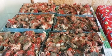 برعاية محافظ أسوان .. فرع المجلس القومى للمرأة يوزع 500 وجبة غذائية بقرى حجازة وسبيل العرب بكوم أمبو 1 - جريدة المساء